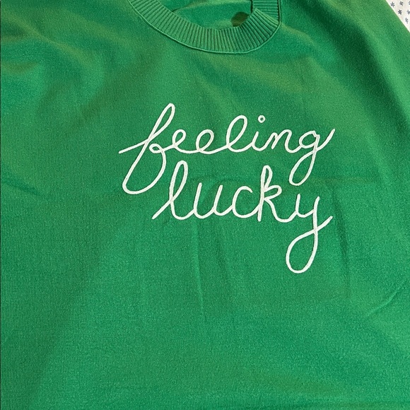 NWOT Lane Bryant Crew Neck Sweater - Picture 10 of 10